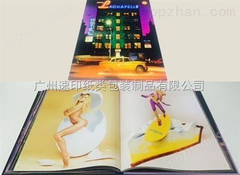 广州海珠区画册印刷宣传册厂