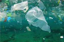 政协委员呼吁尽快制定外卖包装标准治塑料污染