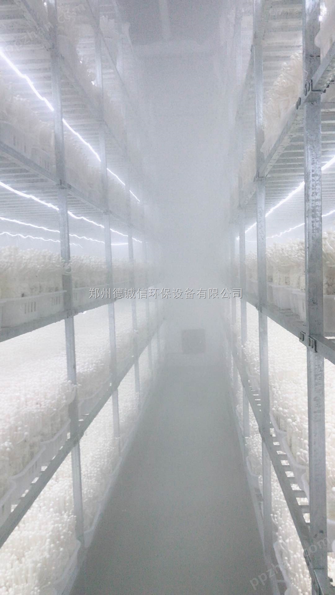 大型食用菌工厂增湿机器*