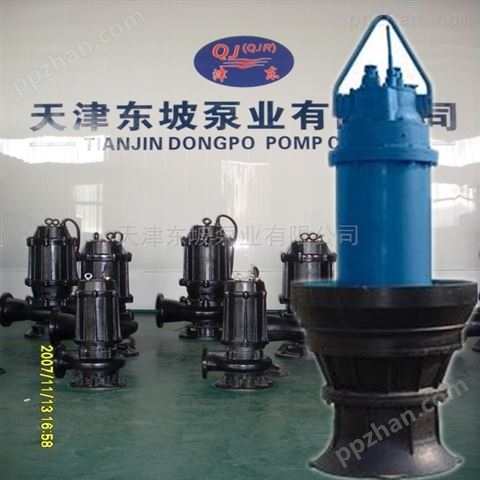 东坡泵业-浮筒式轴流泵