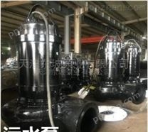 天津高扬程污水泵