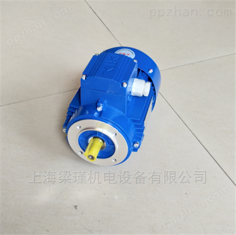 清华紫光112M-2三相异步电机